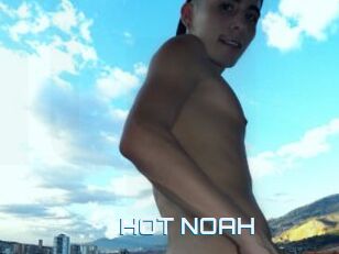 HOT_NOAH