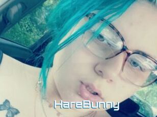 HareBunny