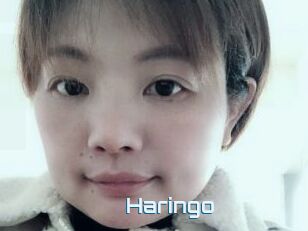 Haringo