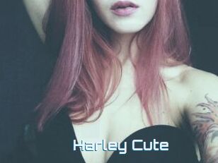 Harley_Cute