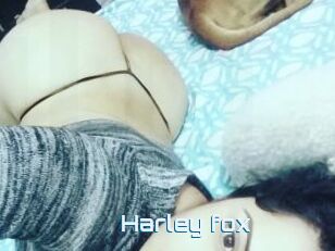 Harley_fox