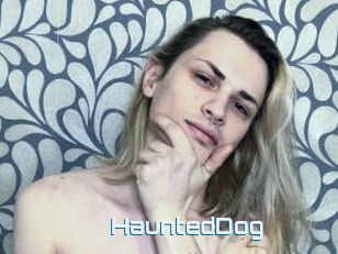 HauntedDog