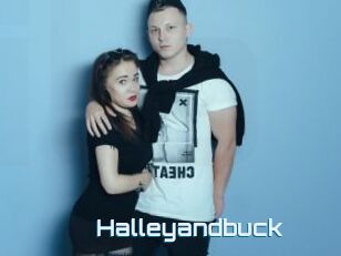 Halleyandbuck