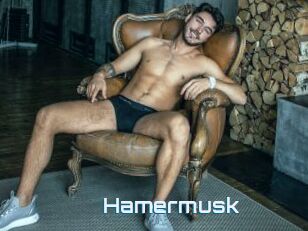 Hamermusk