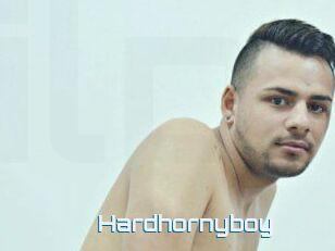 Hardhornyboy