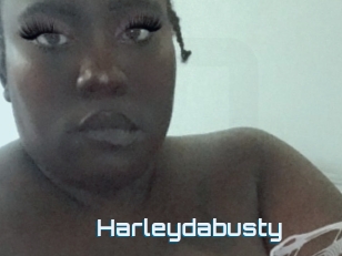 Harleydabusty