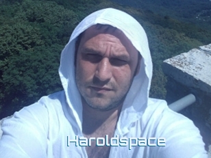 Haroldspace