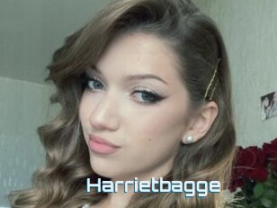 Harrietbagge