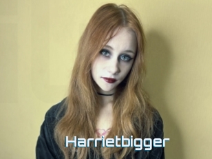 Harrietbigger