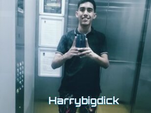 Harrybigdick