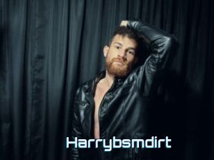 Harrybsmdirt