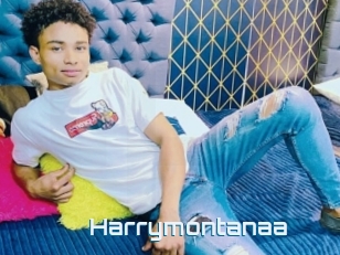 Harrymontanaa