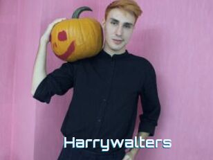 Harrywalters