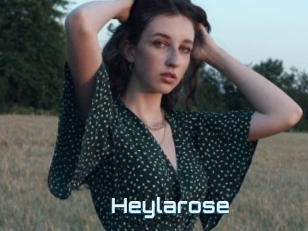 Heylarose