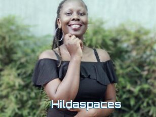 Hildaspaces