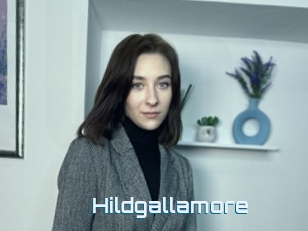 Hildgallamore