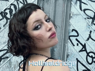 Hollisaldridge