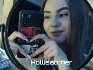 Hollisatcher