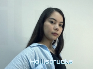 Hollisbrucks