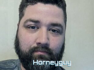 Horneyguy