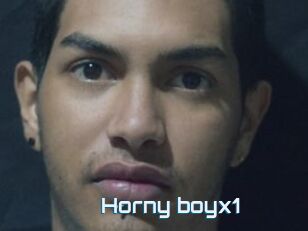 Horny_boyx1