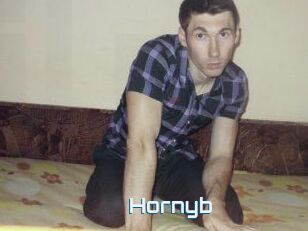 Hornyb