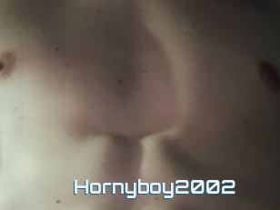 Hornyboy2002