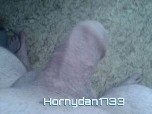 Hornydan1733