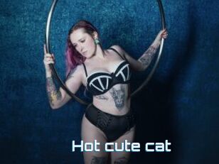 Hot_cute_cat