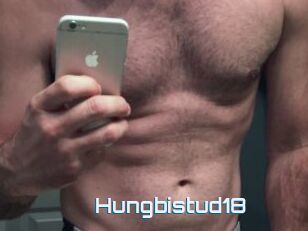 Hungbistud18