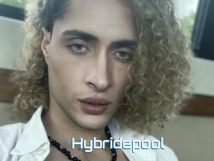 Hybridepool