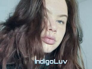 IndigoLuv