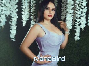 IvanaBird