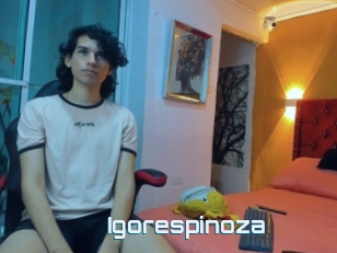 Igorespinoza