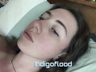 Indigoflood