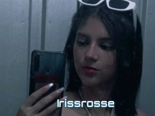 Irissrosse