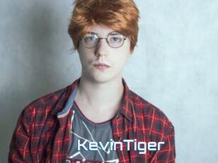 KevinTiger