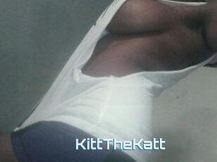 Kitt_The_Katt