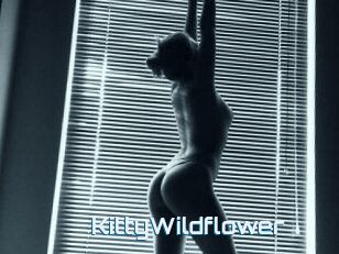 KittyWildflower