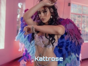 Kattrose