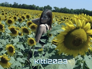 Kitti2023