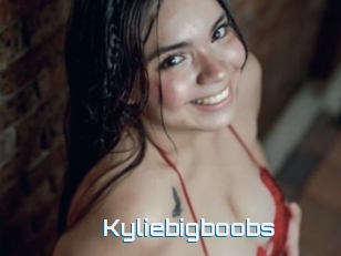 Kyliebigboobs