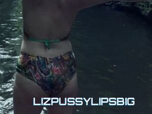 LIZPUSSYLIPSBIG