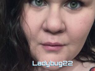 Ladybug22