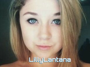 LillyLantana