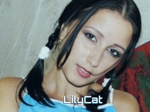 Lily_Cat_