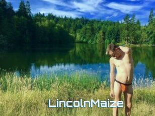 Lincoln_Maize