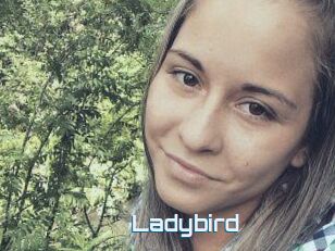 Ladybird