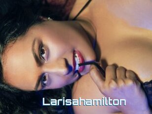 Larisahamilton