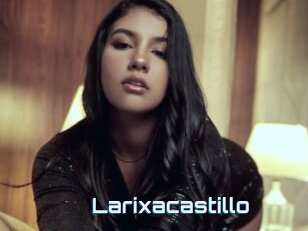 Larixacastillo